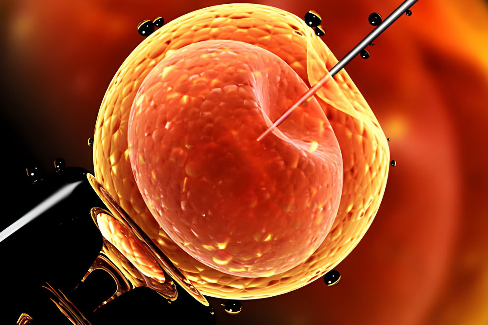 IUI Treatment